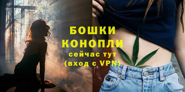 МДПВ Балашиха