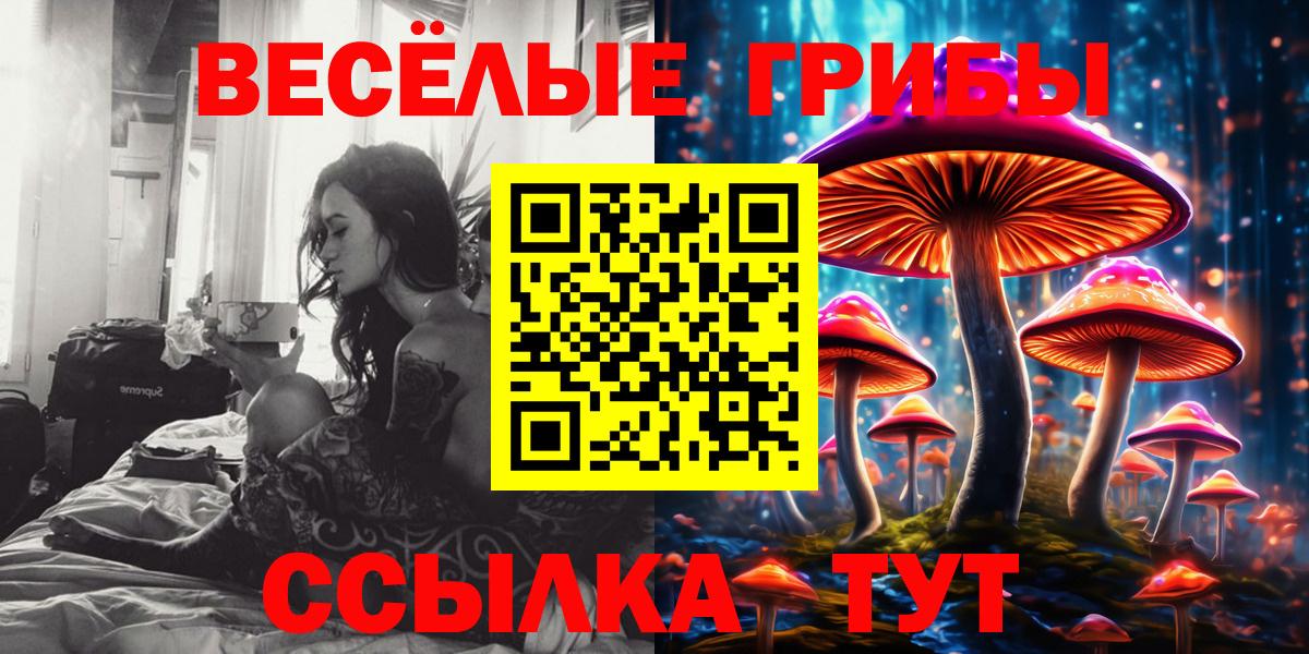 Псилоцибиновые грибы мухоморы  где купить наркоту  Вход с VPN  Татарск  Галлюциногенные грибы Magic Shrooms 